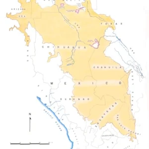 Chihuahuan Desert
