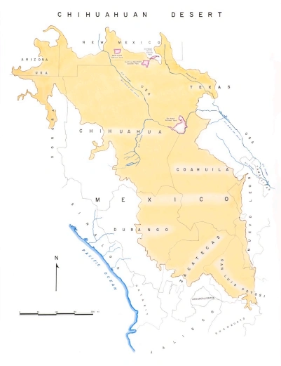 Chihuahuan Desert